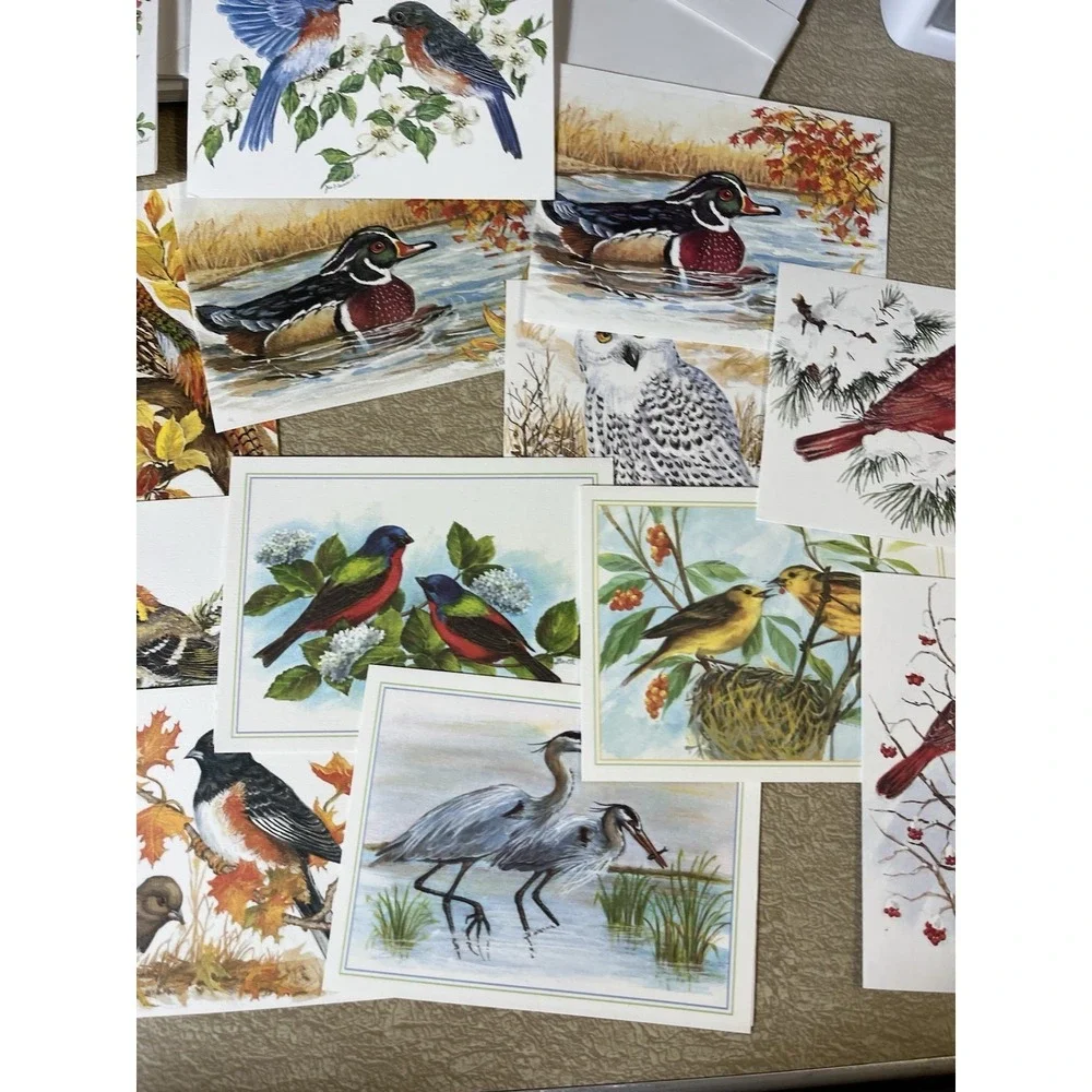 Birds Bird Notecard Card Lot w/ Envelopes Frameable Art Duck Cardinal Blue Jay